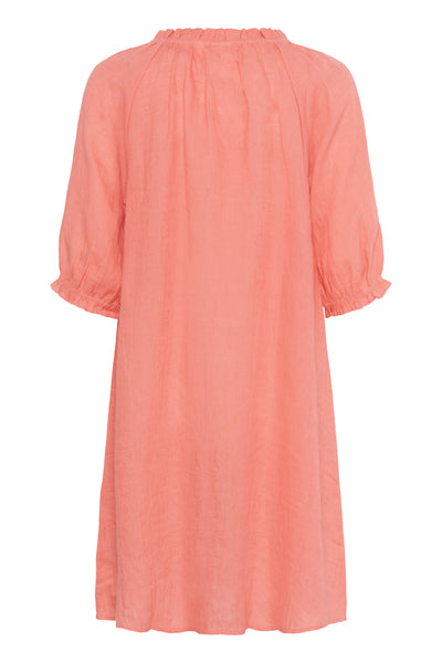 CRBellis lace dress short Porcelain Rose - 10614048 Thumbnail