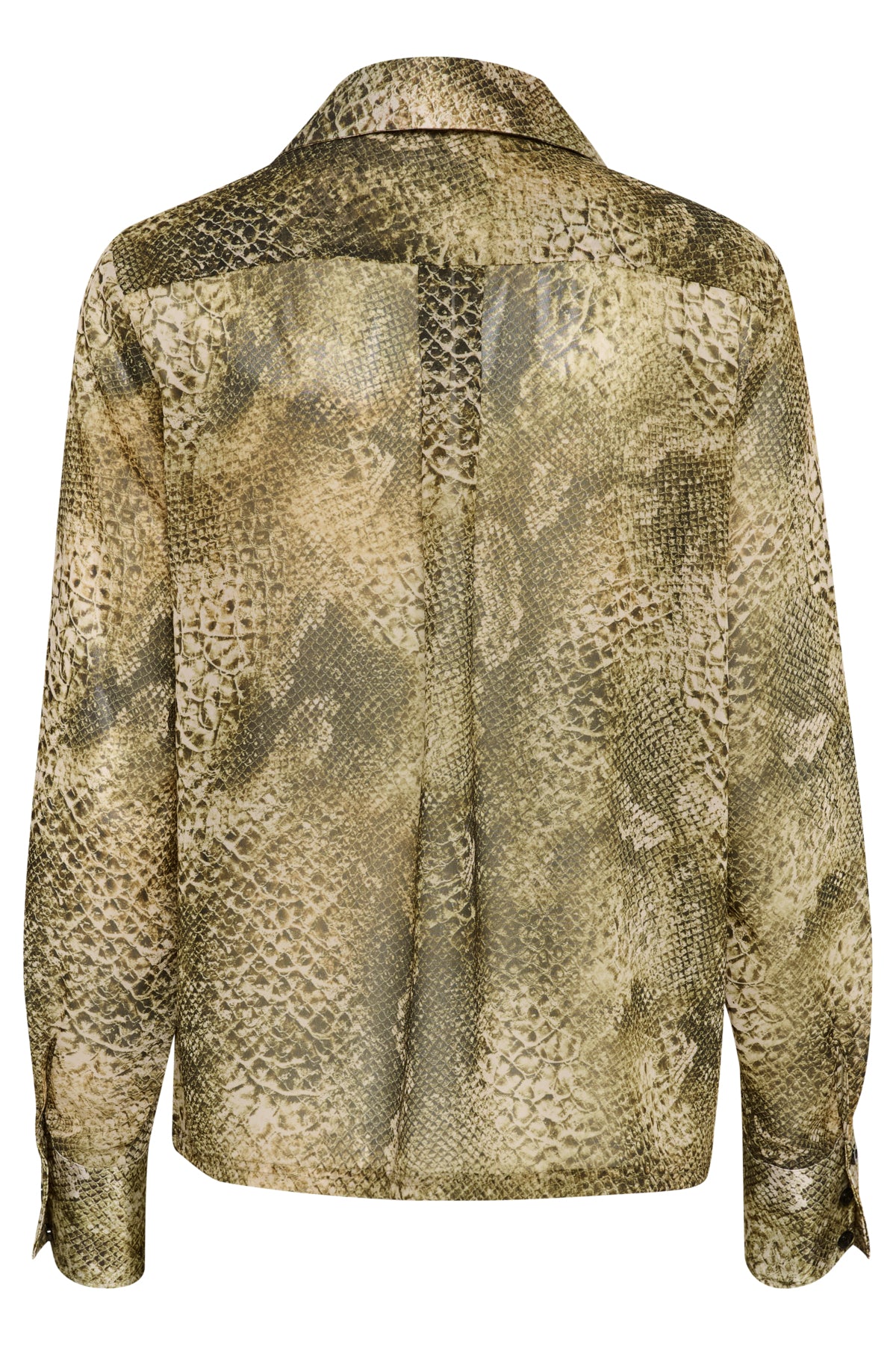 GZsanka P shirt GOLDEN SNAKE