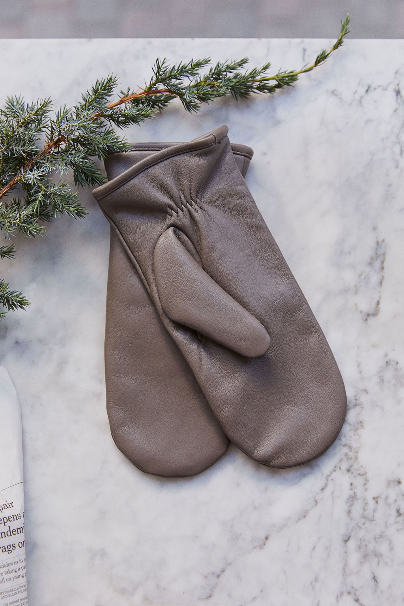FioriPW GL WALNUT - 30305673