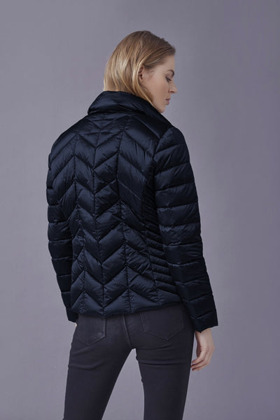 Daisy Navy - 0222-2840-62 Thumbnail