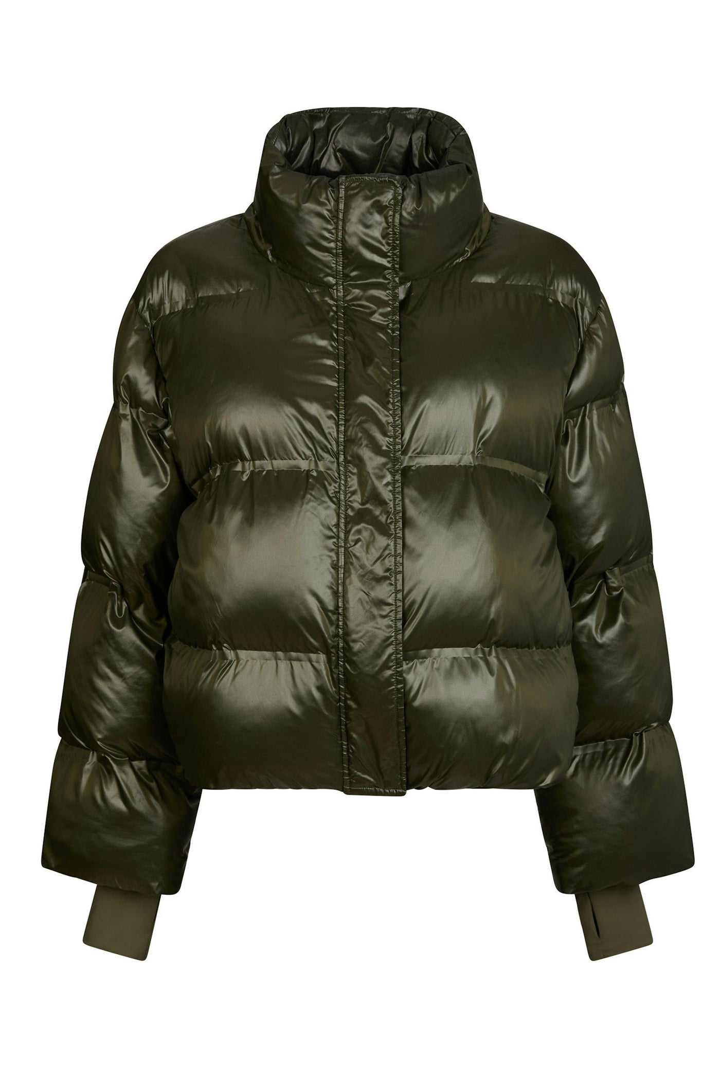 165094 Rhea Olive - 165094