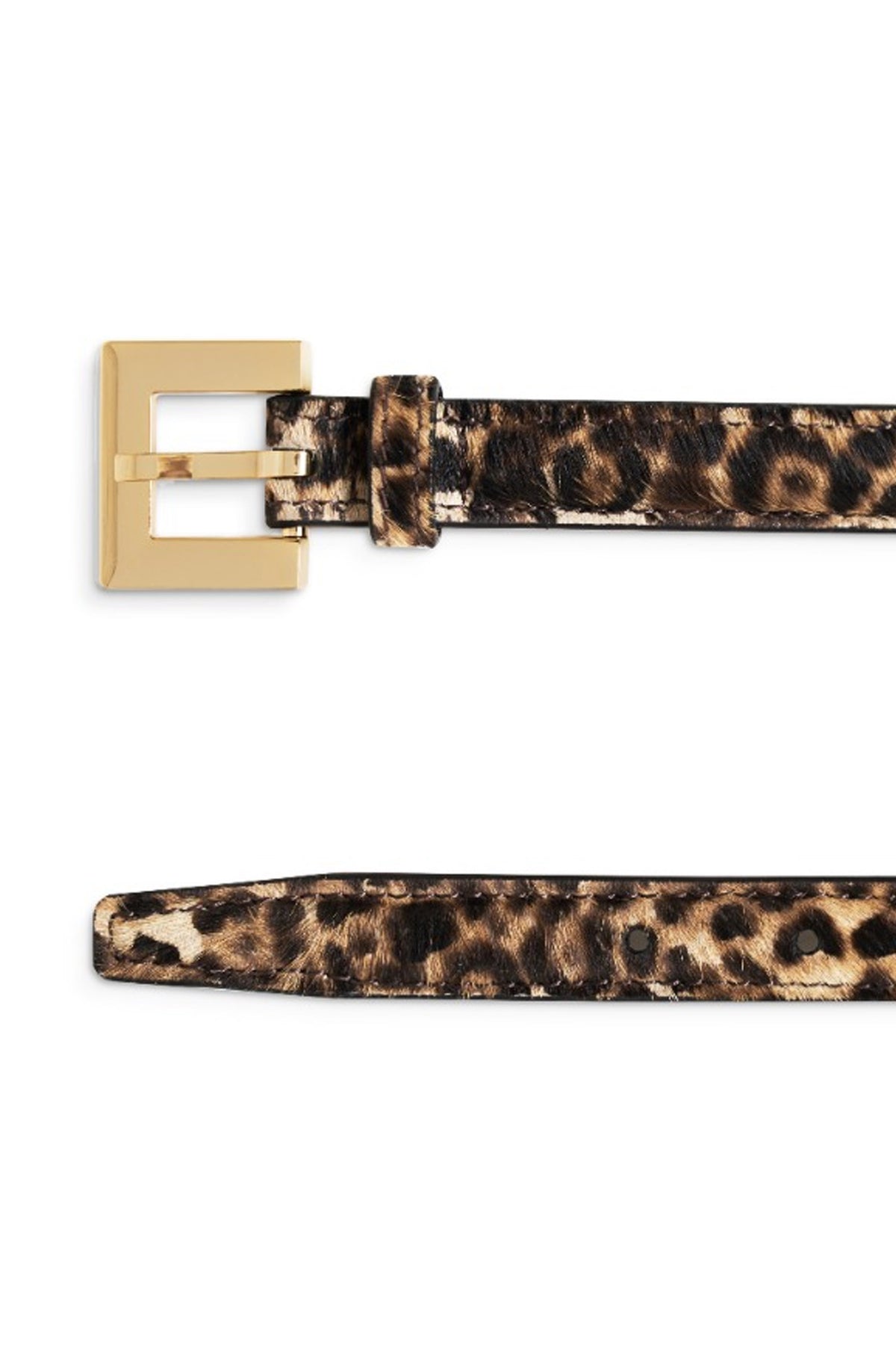 Nicola LEOPARD - A-12-11440