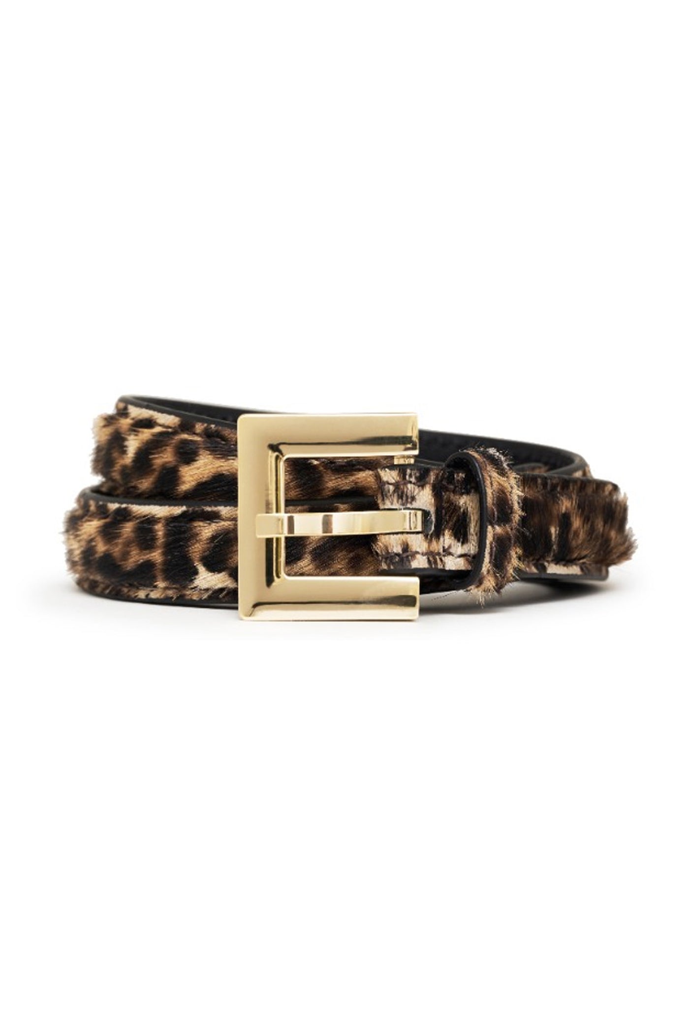 Nicola LEOPARD - A-12-11440