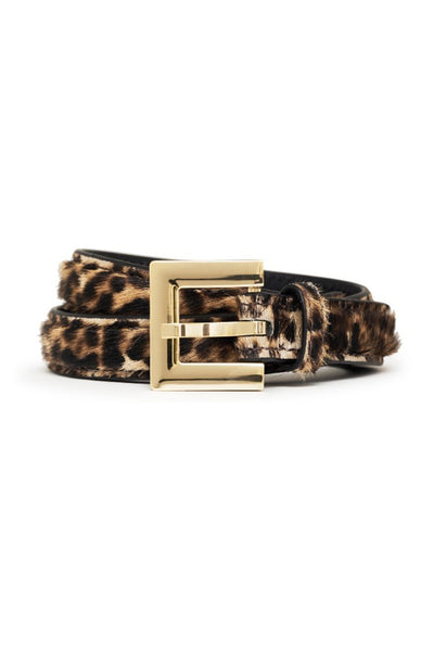Nicola LEOPARD - A-12-11440 Thumbnail