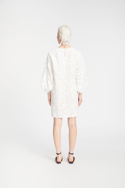 PANSI 33-White - 1316/25225 Thumbnail