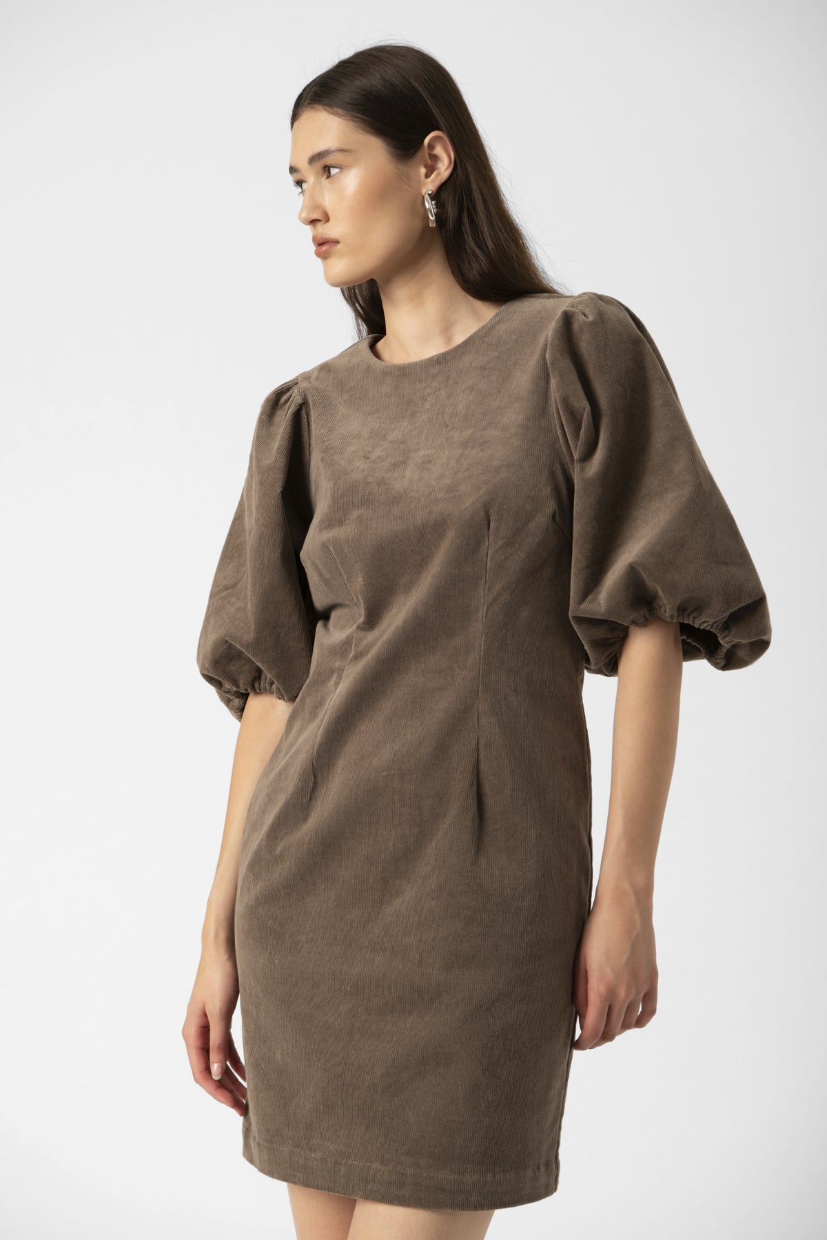 SLHelle Dolore Dress Morel - 30409119