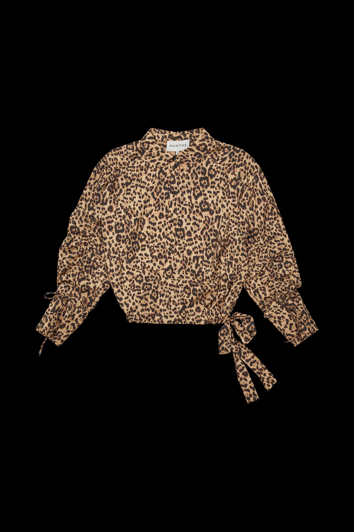 PHEBE 58-Camel - 1013/25222