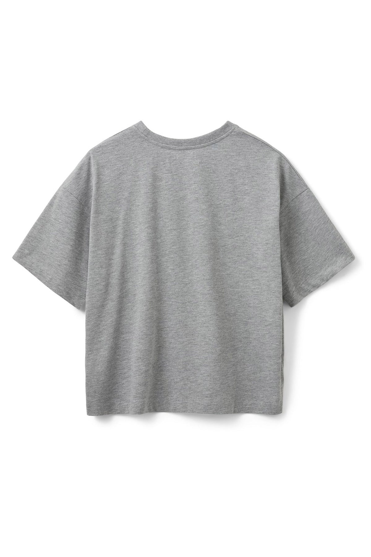 VERASW T-SHIRT 8010 Grey melange - SNOS553