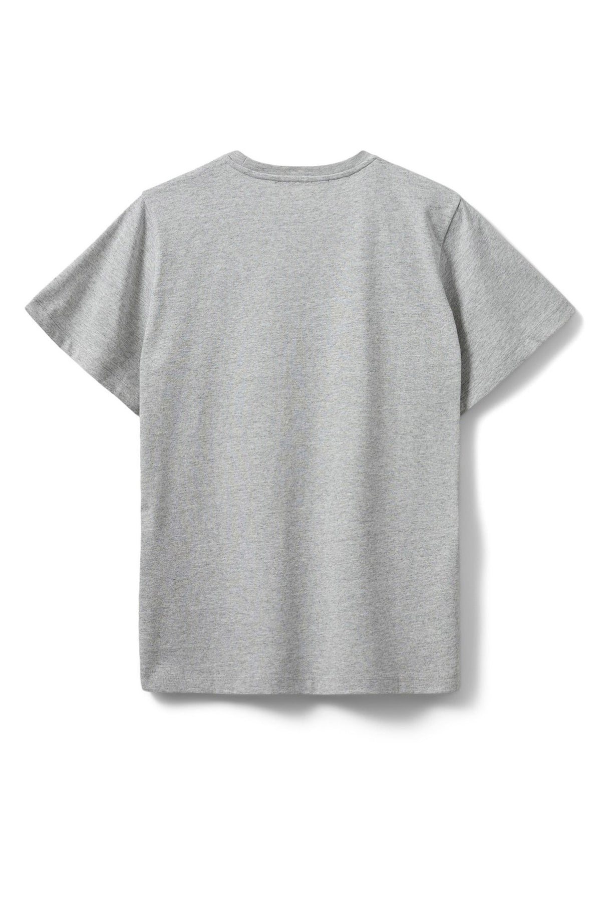 ZENASW T-SHIRT 8010 Grey melange - S244330