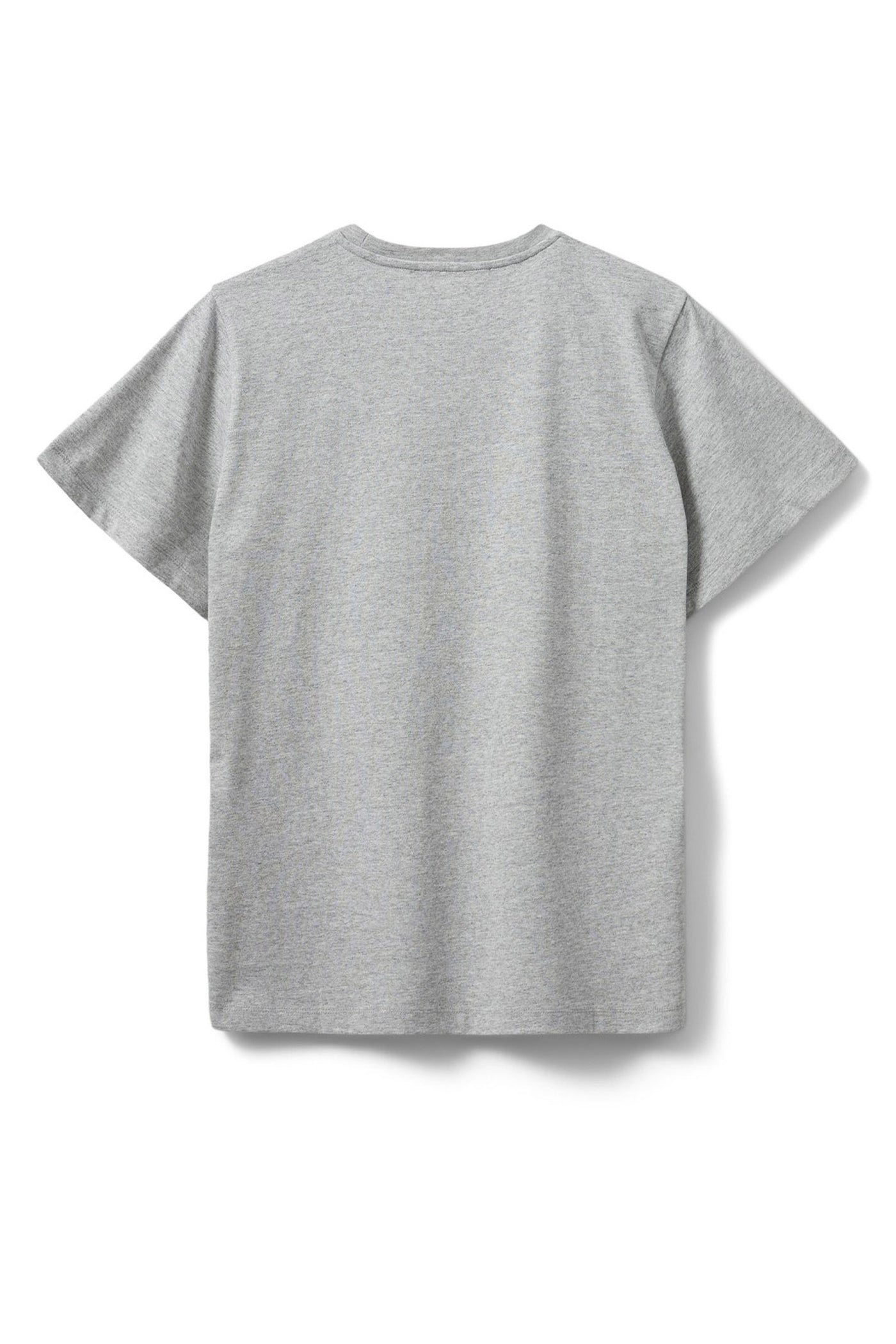 ZENASW T-SHIRT 8010 Grey melange - S244330